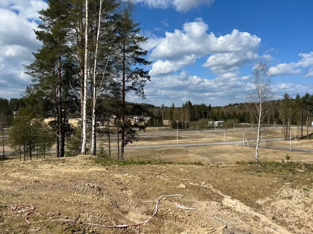 Участок в Ленинградская область, Всеволожский район, Бугровское ... - Фото 1