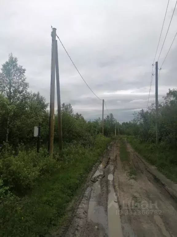 Участок в Мурманская область, Кольский муниципальный округ, Шонгуй ул. ... - Фото 1