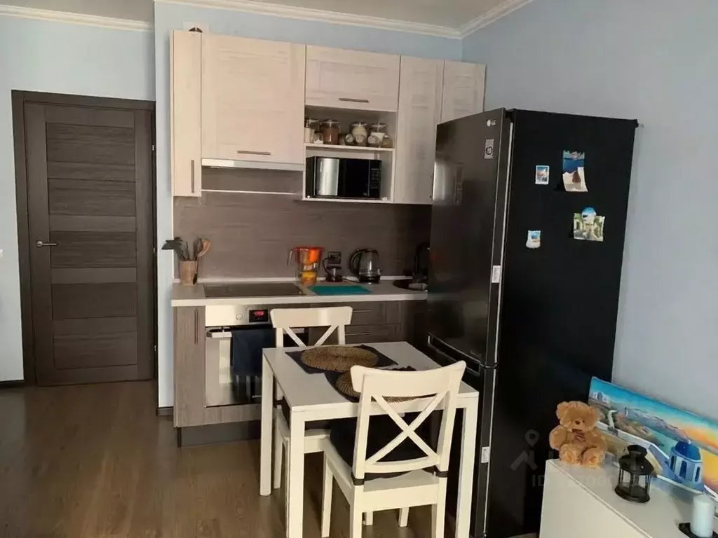 Студия Санкт-Петербург ул. Летчика Лихолетова, 14к3 (24.1 м) - Фото 2