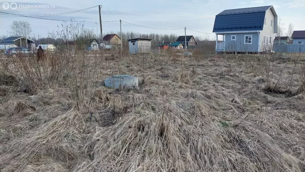 Участок в Новгородский муниципальный район, Савинское сельское ... - Фото 2
