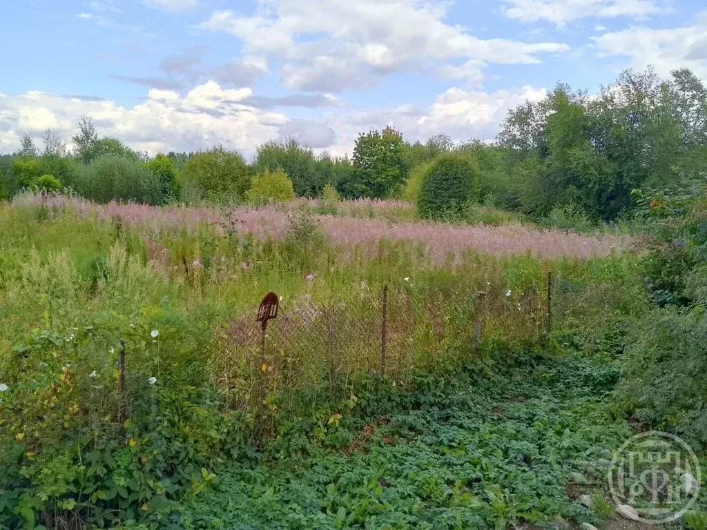 Участок в Ленинградская область, Выборгский район, пос. Поляны  (15.0 ... - Фото 1