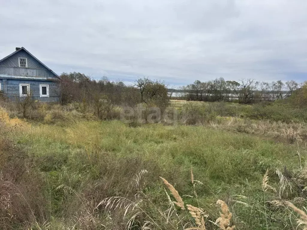 Участок в Псковская область, Себеж городское поселение, д. Затурье ул. ... - Фото 1