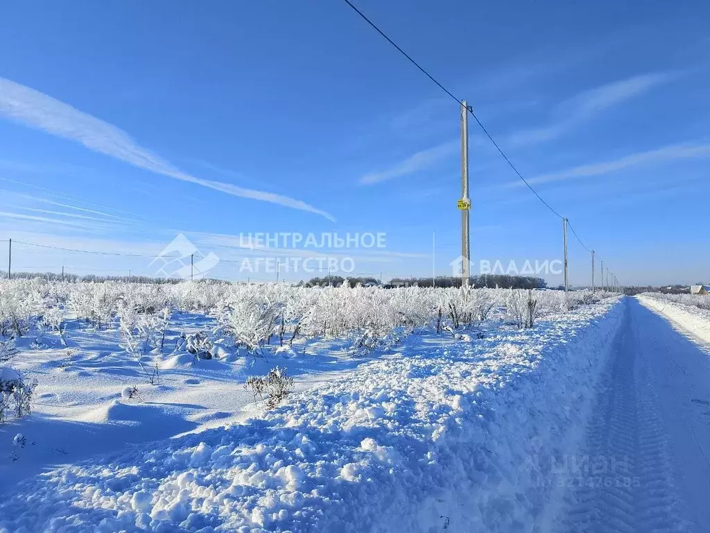 Участок в Рязанская область, Рязанский район, Вышгородское с/пос, ... - Фото 2