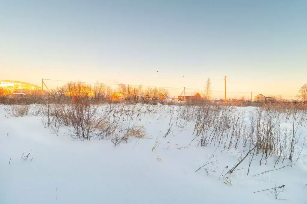 Участок в Тюменская область, Тюмень Царево садовое товарищество, 128 ... - Фото 1