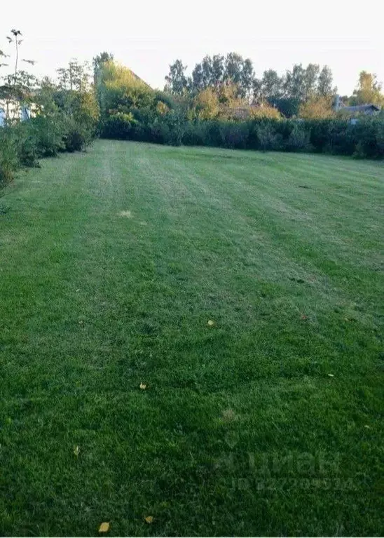 Участок в Московская область, Мытищи городской округ, д. Большое ... - Фото 1