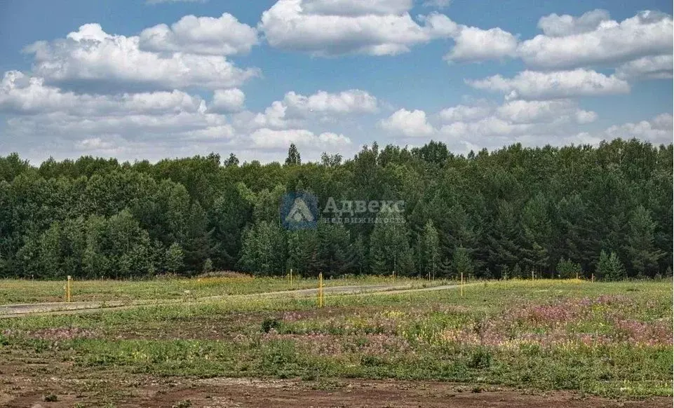 Участок в Тюменская область, Тюменский район, с. Кулига  (7.63 сот.) - Фото 1