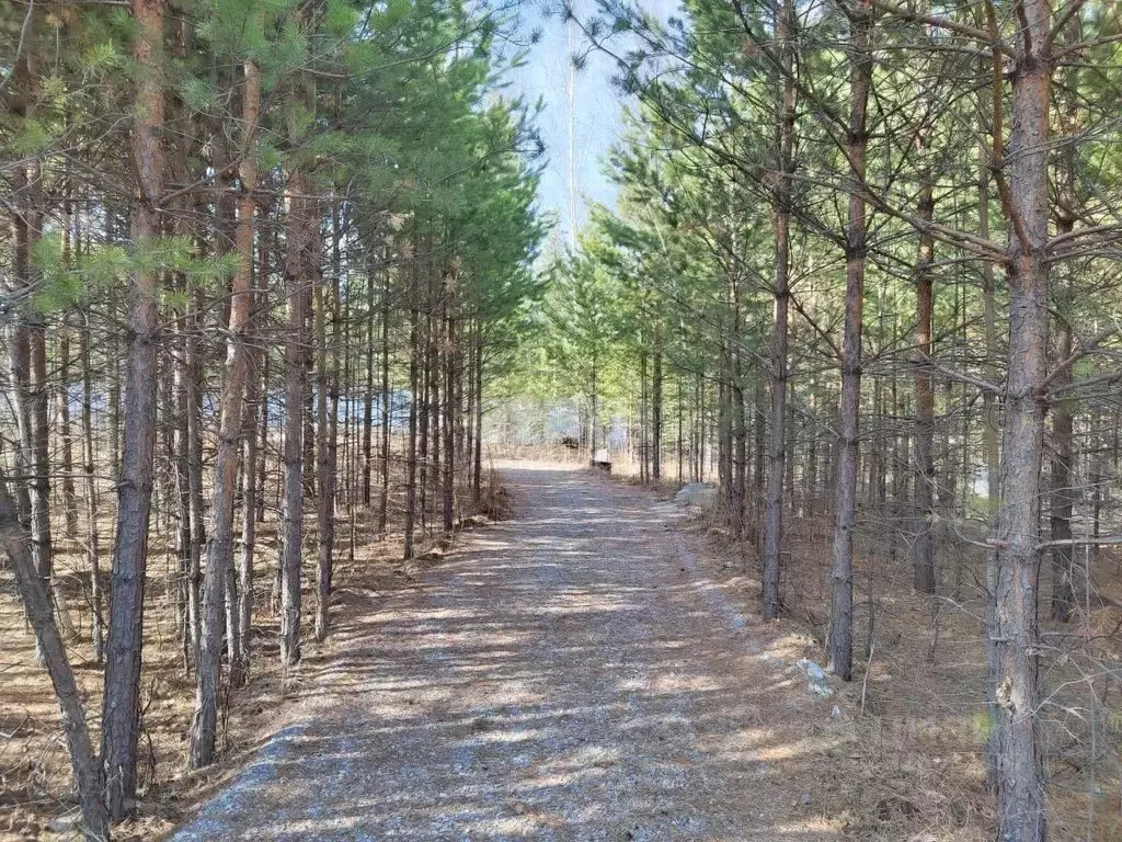 Участок в Свердловская область, Екатеринбург Усадьбы Евразия тер.,  ... - Фото 2