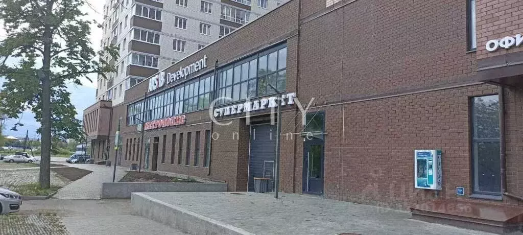 Торговая площадь в Тюменская область, Тюмень Барабинская ул., 50 (127 ... - Фото 2