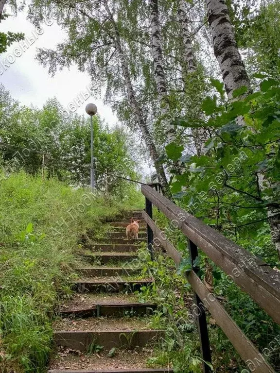 Участок в сельское поселение Корсаково, садоводческое некоммерческое ... - Фото 0