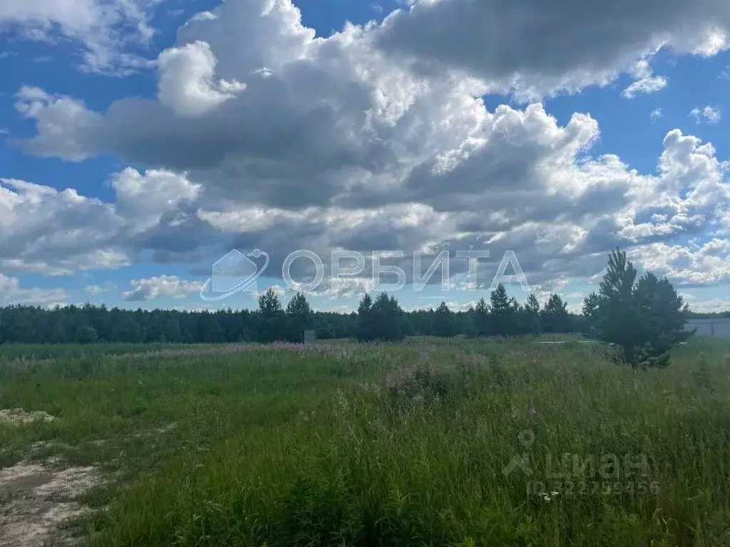 Участок в Тюменская область, Нижнетавдинский муниципальный округ, ... - Фото 2