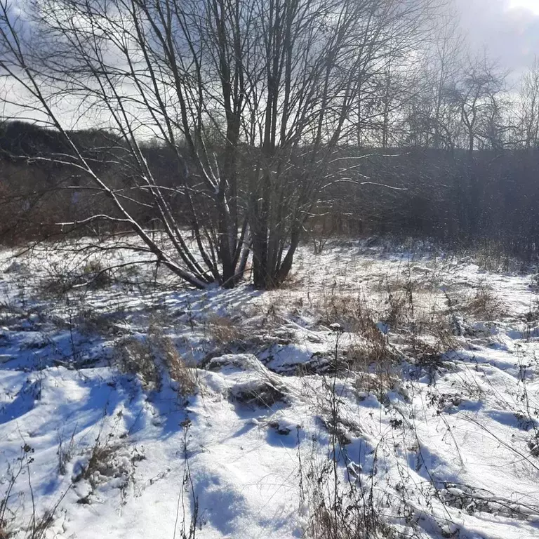 Участок в Московская область, Ступино городской округ, д. Лаптево  ... - Фото 0