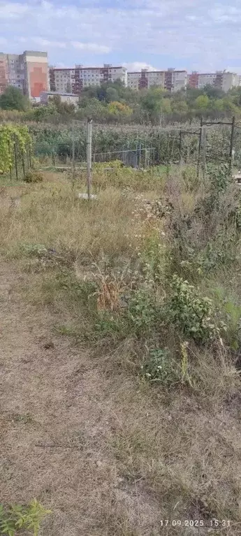 Участок в Саратовская область, Саратов Маслозавод-1 СНТ, 27 (6.0 сот.) - Фото 2