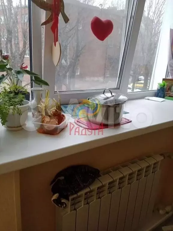 3-к. квартира, 53 м, 2/4 эт. - Фото 1
