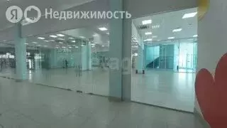 Торговая площадь (100 м) - Фото 2