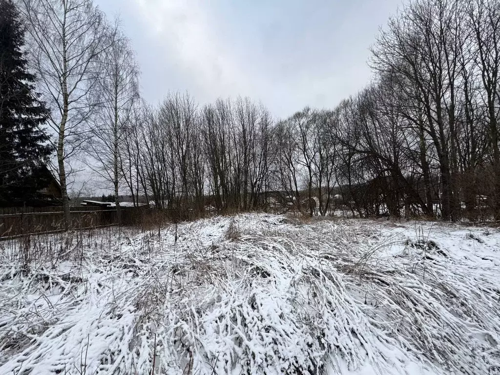 Участок в Московская область, Волоколамский муниципальный округ, д. ... - Фото 1