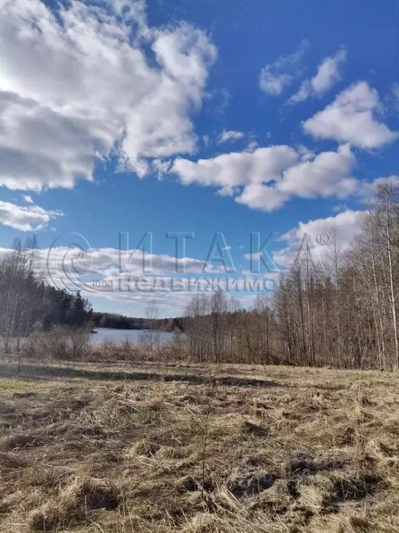 Участок в Ленинградская область, Приозерский район, Севастьяновское ... - Фото 2