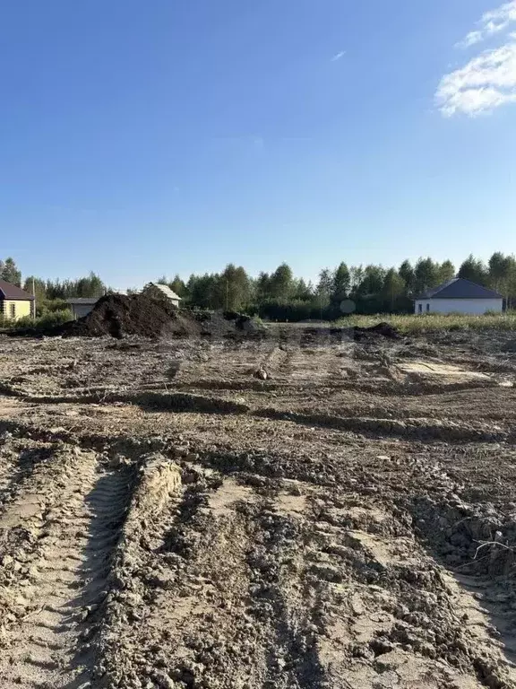 Участок в Тюменская область, Тюмень Ясень садовое товарищество, ул. ... - Фото 0