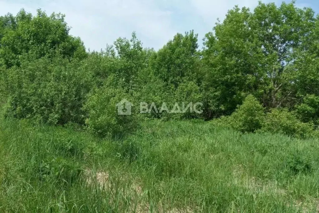 Участок в Нижегородская область, Семеновский муниципальный округ, д. ... - Фото 1