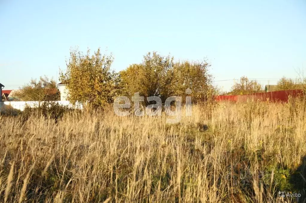 Участок в Калужская область, Дзержинский муниципальный округ, Дворцы ... - Фото 1