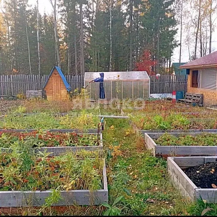 Дом в Пермский край, Березники ул. Андрея Ромашова, 25 (60 м) - Фото 2