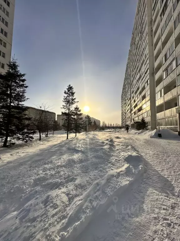 1-к кв. Новосибирская область, Новосибирск ул. Виктора Уса, 4 (46.1 м) - Фото 2