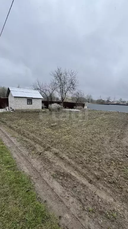 Участок в Брянская область, Брянский район, Мичуринское с/пос, Заря ... - Фото 1