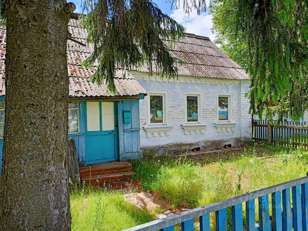 Дом в Рязанская область, Спасский район, Панинское с/пос, с. Панино ... - Фото 0