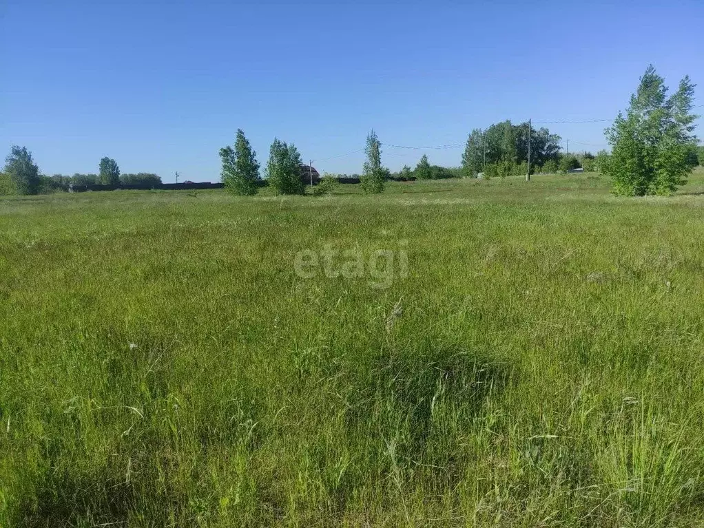 Участок в Челябинская область, Сосновский муниципальный округ, пос. ... - Фото 2