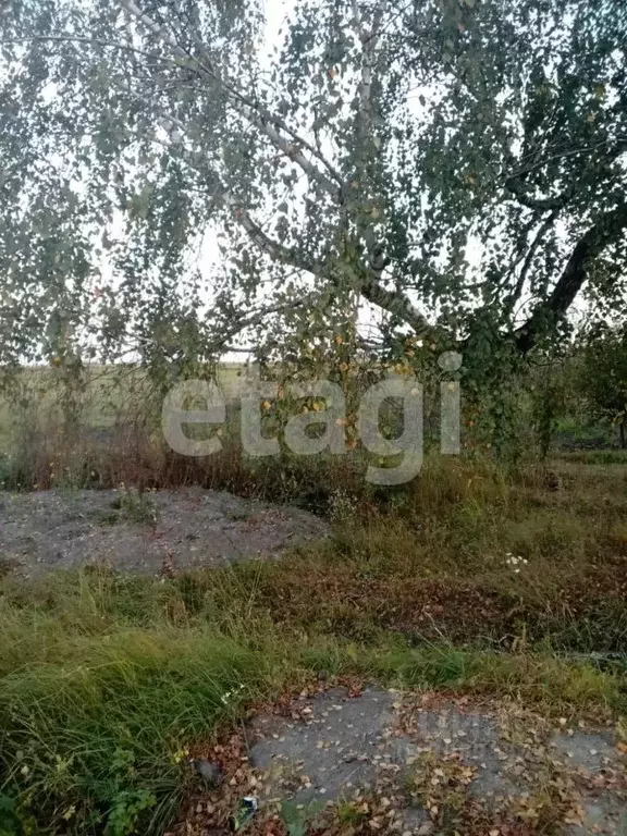 Участок в Брянская область, Брянский район, Мичуринское с/пос, д. ... - Фото 2