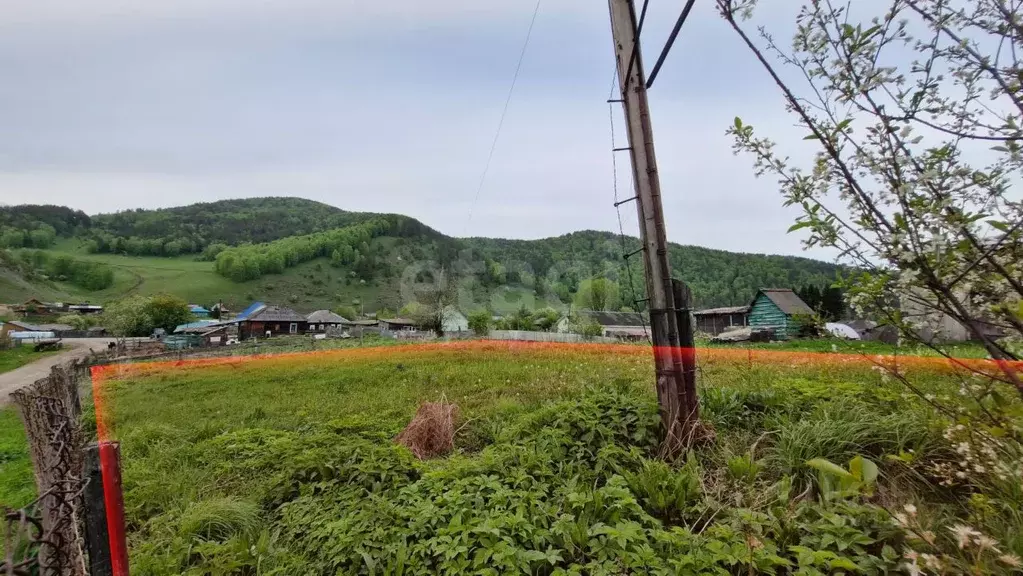 Участок в Алтай, Майминский район, с. Бирюля Новая ул. (7.5 сот.) - Фото 2