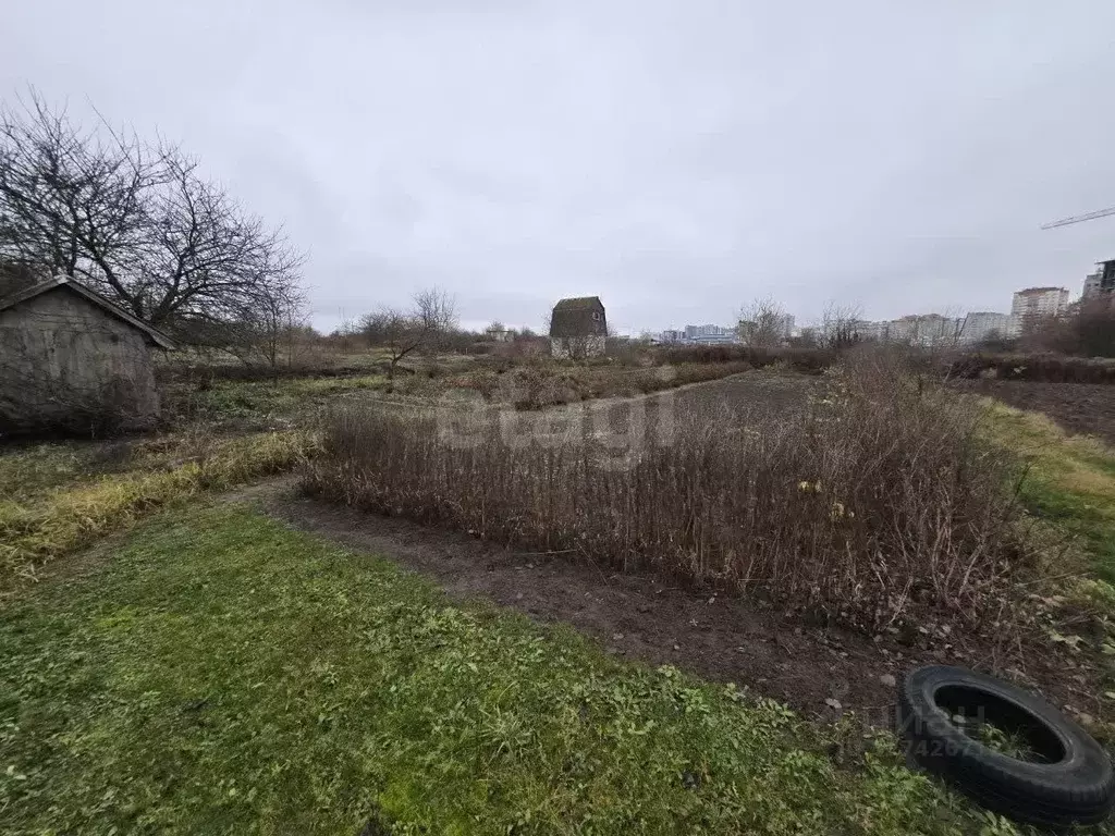 Участок в Брянская область, Брянский район, Снежское с/пос, пос. ... - Фото 2