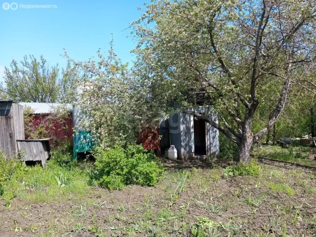 Участок в Энгельсский район, Новопушкинское муниципальное образование, ... - Фото 1