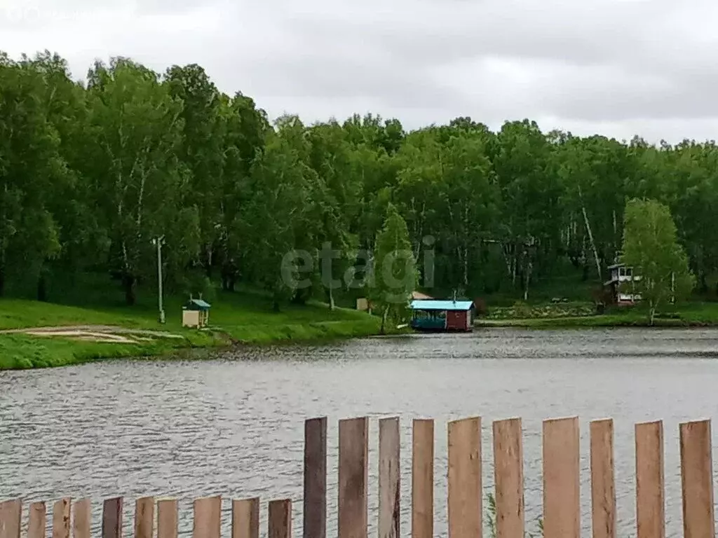 Участок в Томский район, деревня Новомихайловка, ДНП Кедры, Каштановая ... - Фото 1