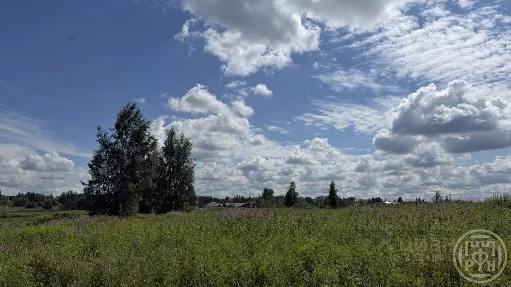 Участок в Ленинградская область, Ломоносовский район, д. Низино  (50.0 ... - Фото 1