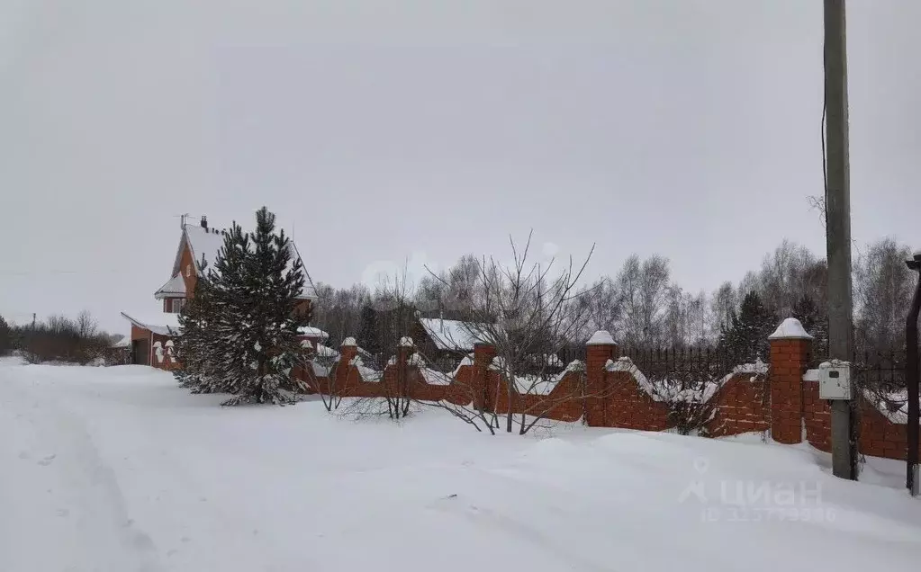Участок в Алтайский край, Барнаул городской округ, пос. Бельмесево ул. ... - Фото 1