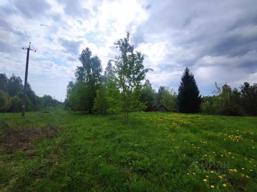 Участок в Калужская область, Козельск пер. Потапова (93.0 сот.) - Фото 2