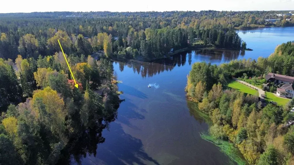 Участок в Ленинградская область, Выборгский район, Рощино пгт ул. ... - Фото 1