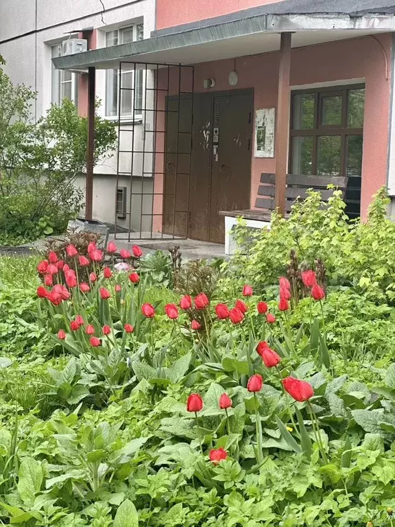 3-к. квартира, 54 м, 7/9 эт. - Фото 1