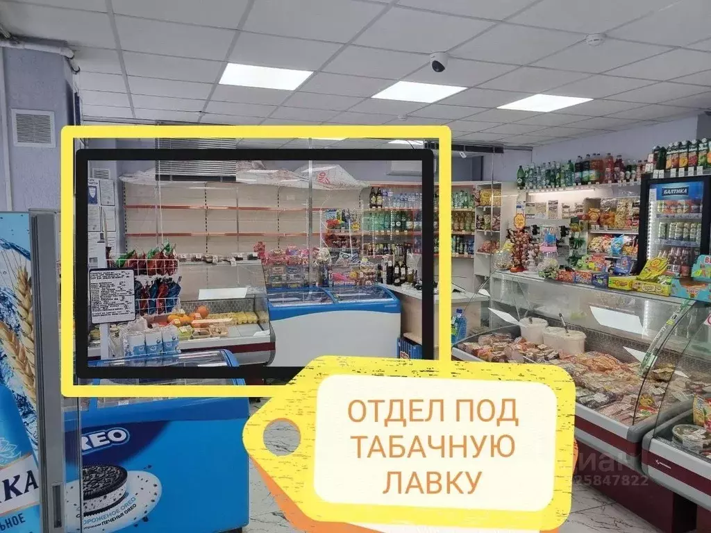 Торговая площадь в Ленинградская область, Всеволожский район, ... - Фото 2