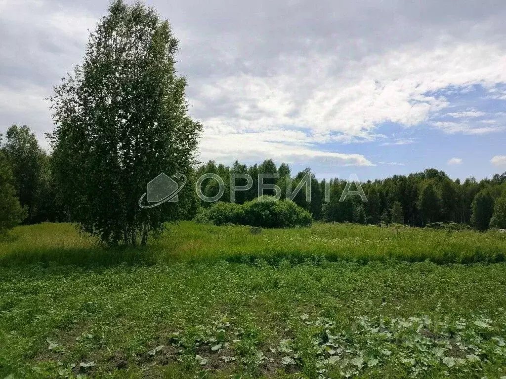 Участок в Тюменская область, Тюмень СОСН Березка-3 тер., ул. 3-я (10.0 ... - Фото 0