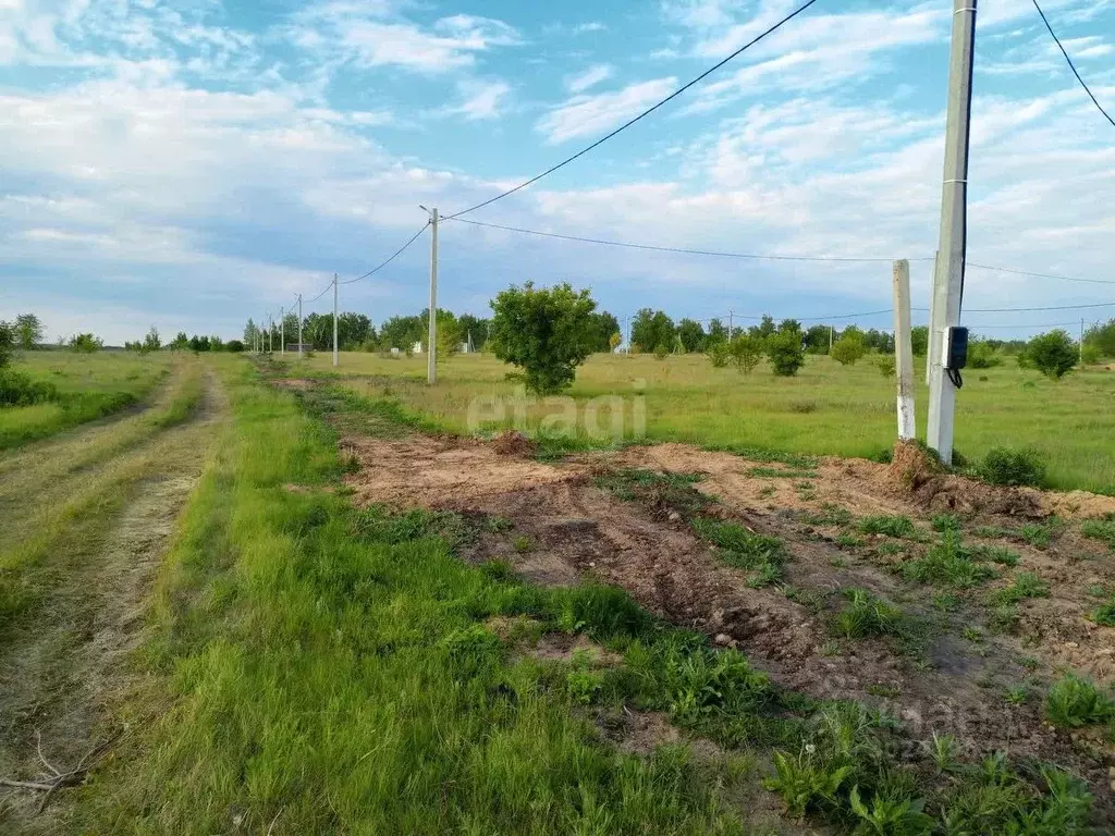 Участок в Воронежская область, Борисоглебск ул. Тихая, 4 (6.5 сот.) - Фото 0