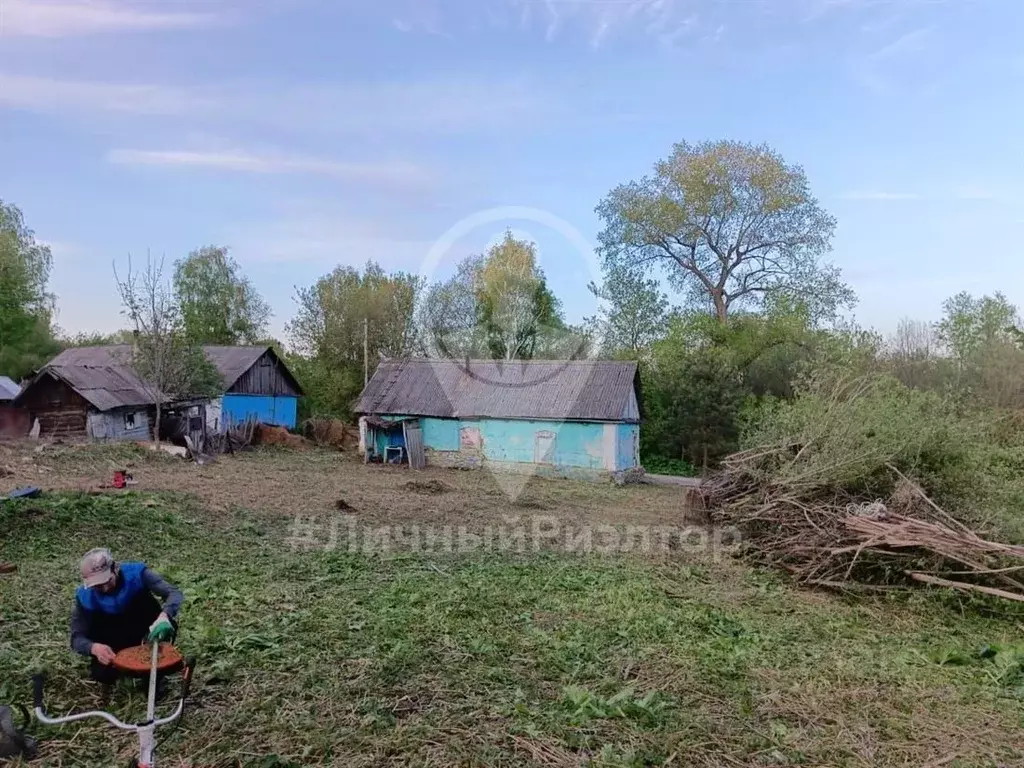 Дом в Рязанская область, Скопинский район, Корневское с/пос, д. ... - Фото 1