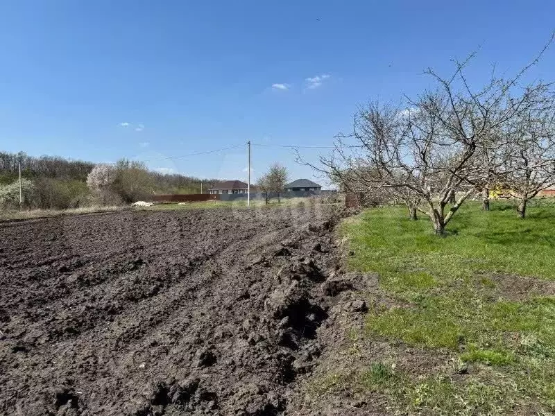 Участок 10 сот. (СНТ, ДНП) - Фото 0