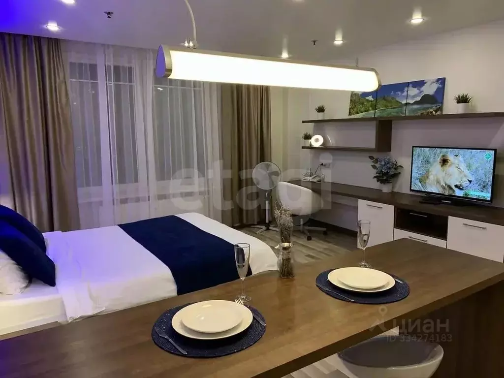 Студия Санкт-Петербург ул. Хошимина, 16 (28.3 м) - Фото 1