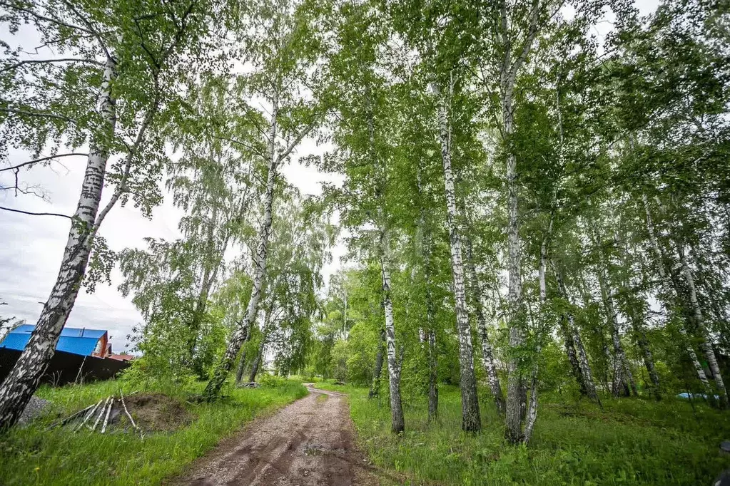 Участок 7,5 сот. (СНТ, ДНП) - Фото 1