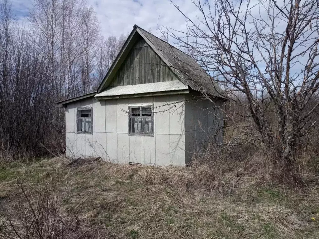 Дом в Вологодская область, Сокольский муниципальный округ, Ромашка-2 ... - Фото 2