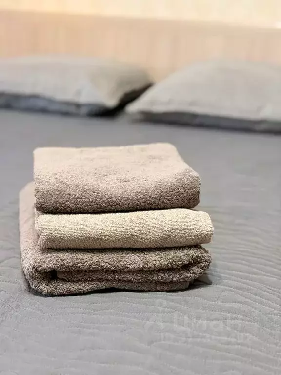 Студия Псковская область, Псков Инженерная ул., 110 (28.0 м) - Фото 1