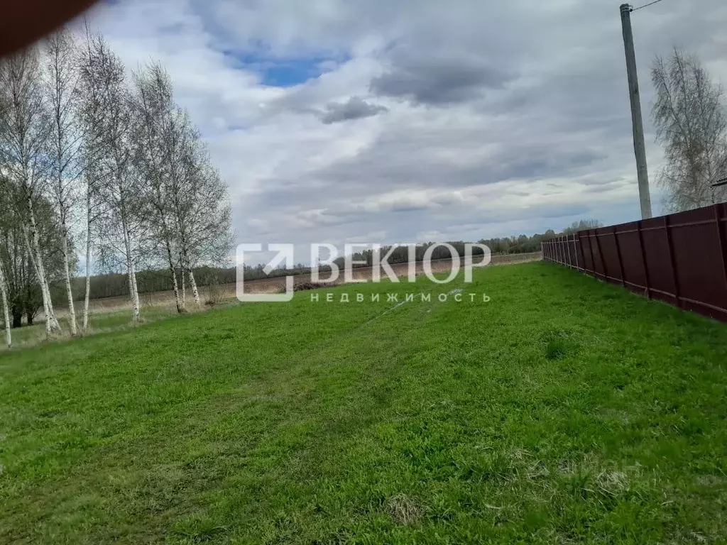 Участок в Ярославская область, Ярославский муниципальный округ, д. ... - Фото 2