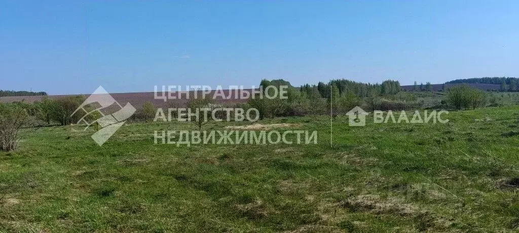 Участок в Рязанская область, Рязанский муниципальный округ, с. ... - Фото 2