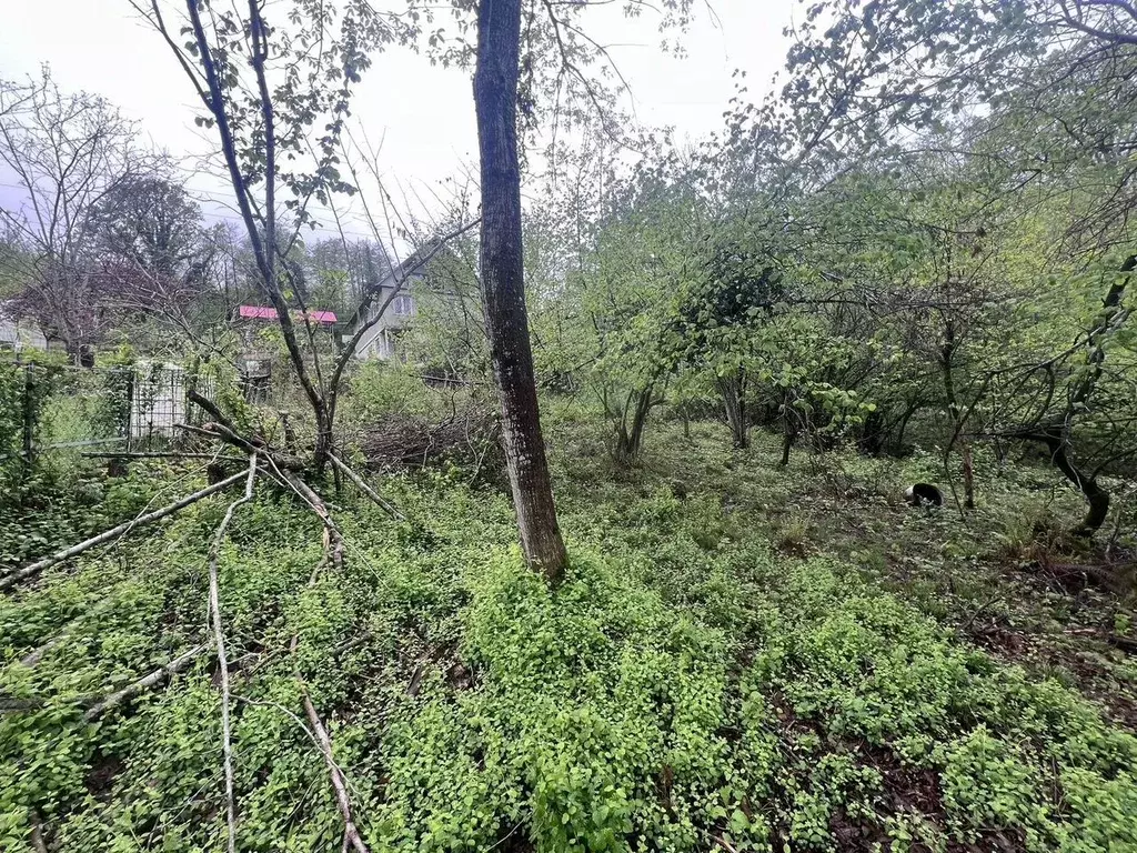 Участок в Краснодарский край, Сочи городской округ, с. Верхний Юрт ул. ... - Фото 0